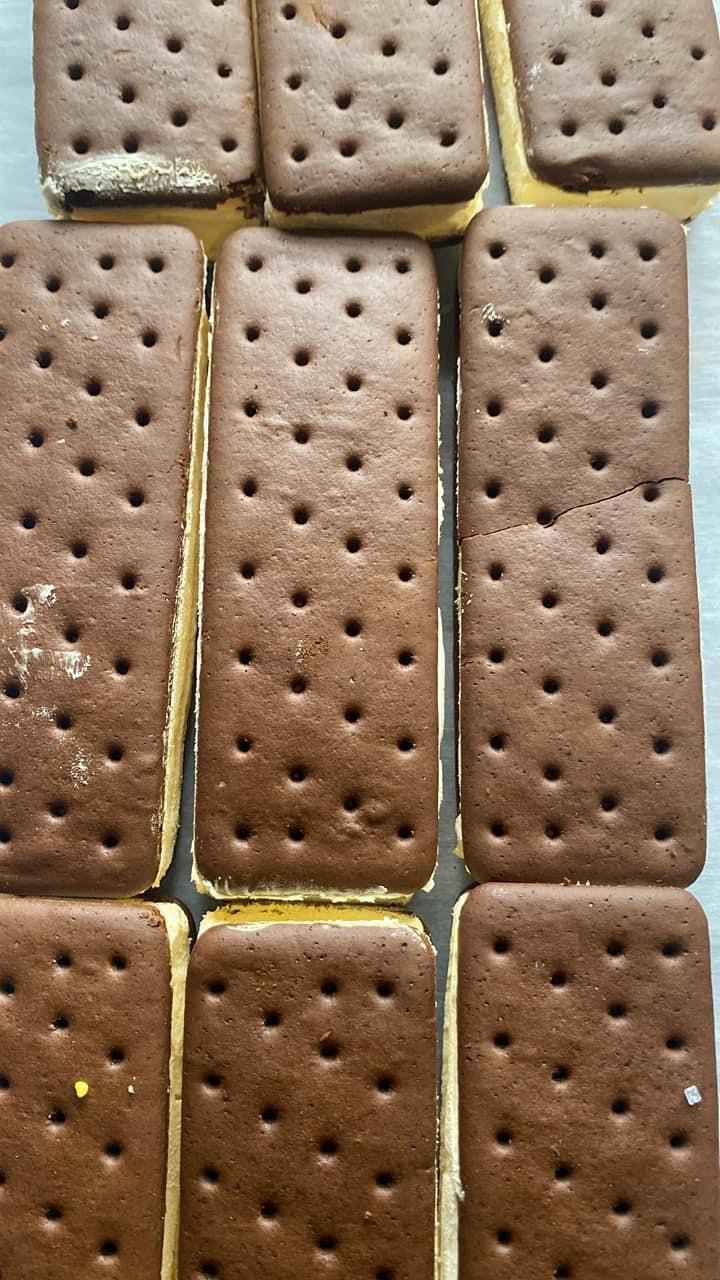 Ice Cream Sandwich (1 count) | Freeze Dried Candy | Freeze Dried Food - CCs Candy Factory