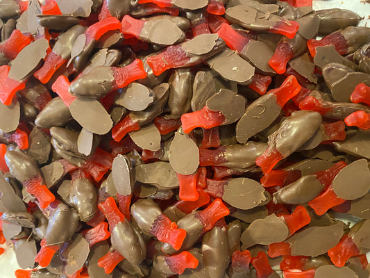 Chocolate Covered Swedish Fish | Chocolate Covered Candy